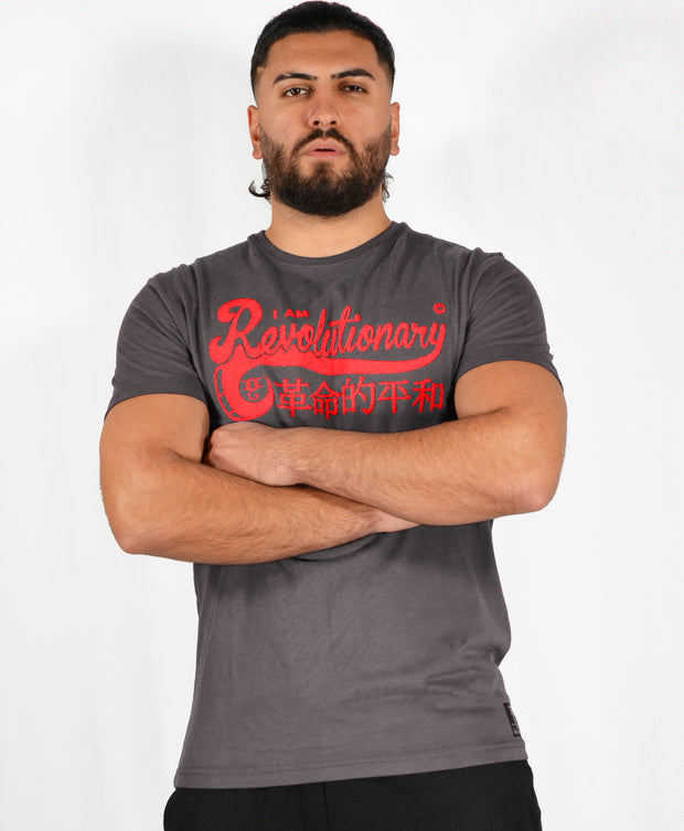 Mens Dark Grey/Red I Am Revolutionary T Shirt