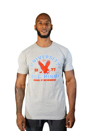 Mens Grey/Blue/Red University Of Killuminati T Shirt